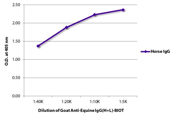 Abbildung: Ziege IgG anti-Pferd IgG (H+L)-Biotin, MinX keine
