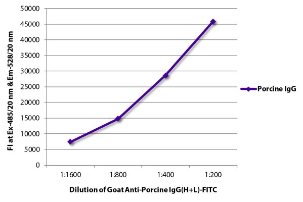 Abbildung: Ziege IgG anti-Schwein IgG (H+L)-FITC, MinX keine