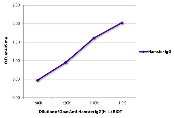 Abbildung: Ziege IgG anti-Hamster armenisch IgG (H+L)-Biotin, MinX keine