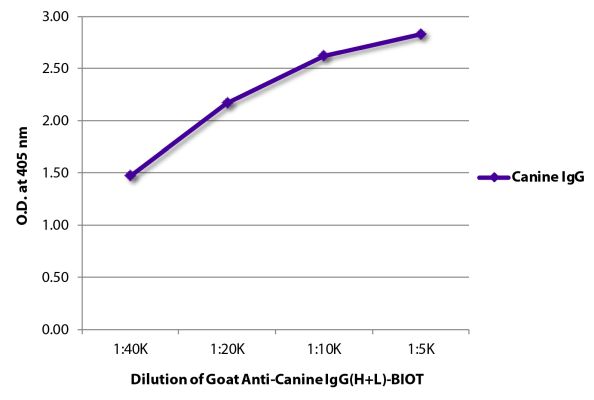 Image: Goat IgG anti-Dog IgG (H+L)-Biotin, MinX none