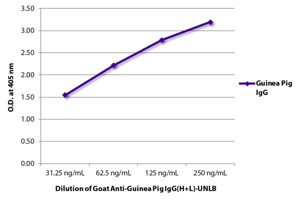 Abbildung: Ziege IgG anti-Meerschweinchen IgG (H+L)-unkonj., MinX keine