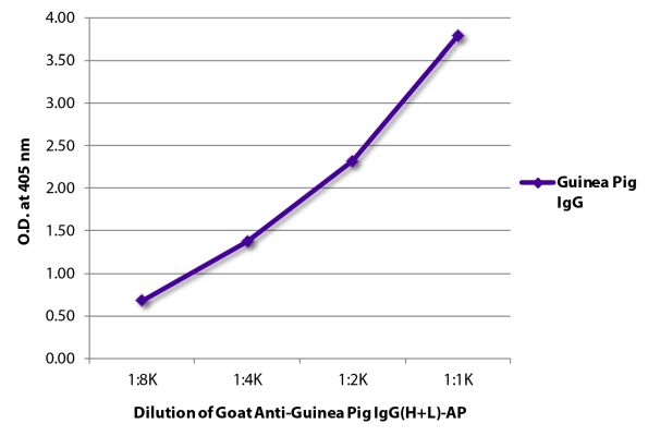Abbildung: Ziege IgG anti-Meerschweinchen IgG (H+L)-Alk. Phos., MinX keine