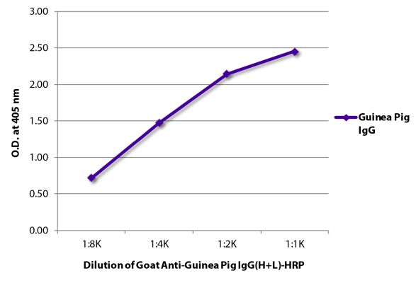 Abbildung: Ziege IgG anti-Meerschweinchen IgG (H+L)-HRPO, MinX keine