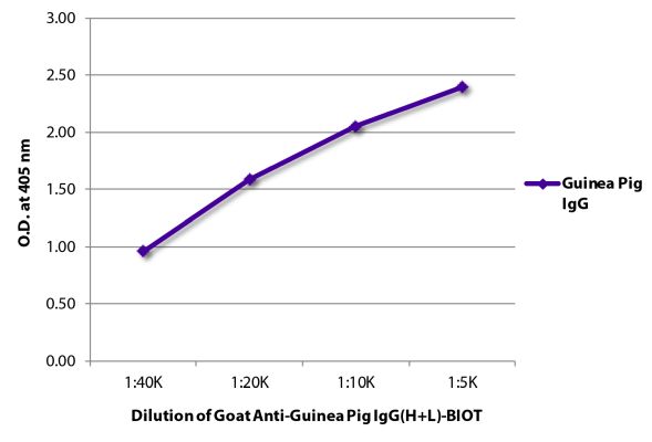 Abbildung: Ziege IgG anti-Meerschweinchen IgG (H+L)-Biotin, MinX keine