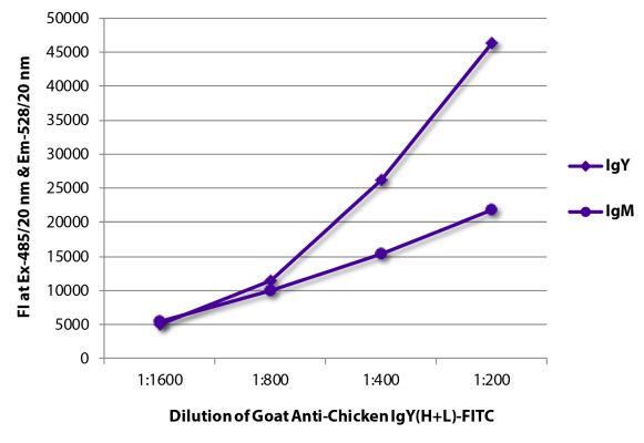 Abbildung: Ziege IgG anti-Huhn IgY (H+L)-FITC, MinX keine