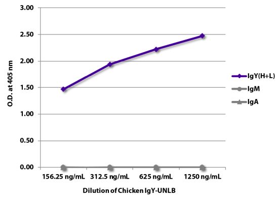 Abbildung: Ziege IgG anti-Huhn IgY (H+L)-Biotin, MinX keine