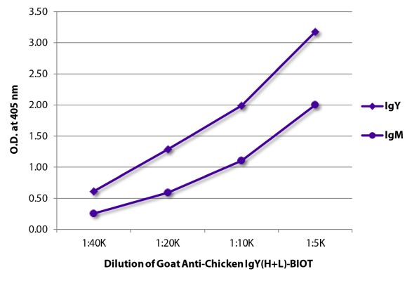 Abbildung: Ziege IgG anti-Huhn IgY (H+L)-Biotin, MinX keine