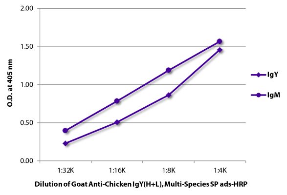 Image: Goat IgG anti-Chicken IgY (H+L)-HRPO, MinX Hu,Ms,Rt,Bo,Ho,Ha,Go,Sh,Rb,Gp