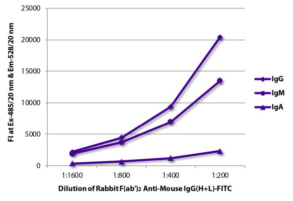 Abbildung: Kaninchen F(ab')2 anti-Maus IgG (H+L)-FITC, MinX keine