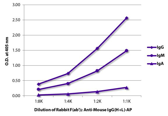 Abbildung: Kaninchen F(ab')2 anti-Maus IgG (H+L)-Alk. Phos., MinX keine