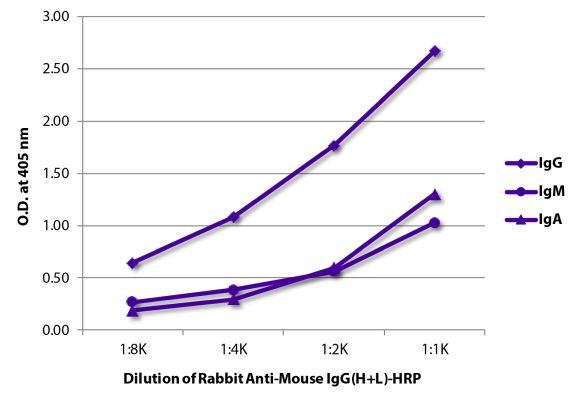 Abbildung: Kaninchen F(ab')2 anti-Maus IgG (H+L)-HRPO, MinX keine