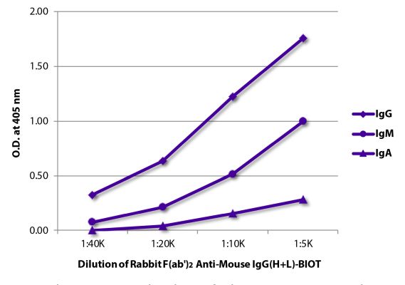 Abbildung: Kaninchen F(ab')2 anti-Maus IgG (H+L)-Biotin, MinX keine