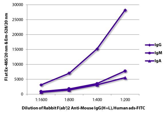Image: Rabbit F(ab')2 anti-Mouse IgG (H+L)-FITC, MinX Hu