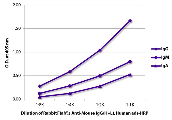 Image: Rabbit F(ab')2 anti-Mouse IgG (H+L)-HRPO, MinX Hu