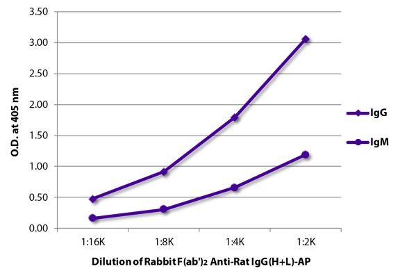 Abbildung: Kaninchen F(ab')2 anti-Ratte IgG (H+L)-Alk. Phos., MinX keine
