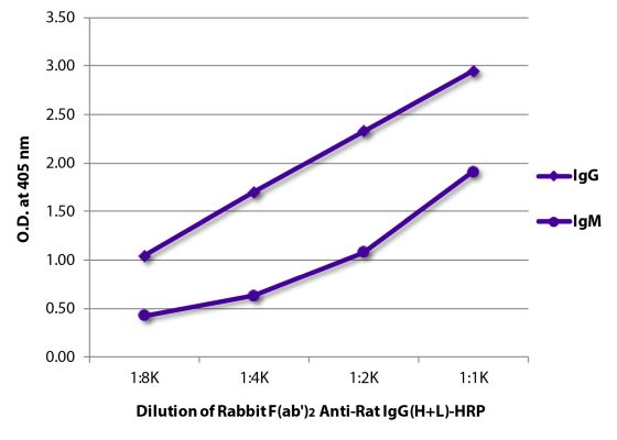Abbildung: Kaninchen F(ab')2 anti-Ratte IgG (H+L)-HRPO, MinX keine
