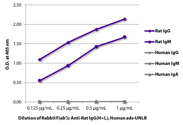 Image: Rabbit F(ab')2 anti-Rat IgG (H+L)-unconj., MinX Hu