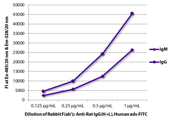Abbildung: Kaninchen F(ab')2 anti-Ratte IgG (H+L)-FITC, MinX Hu