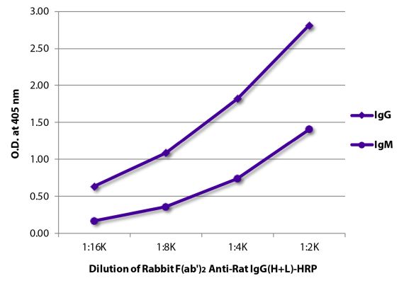 Abbildung: Kaninchen F(ab')2 anti-Ratte IgG (H+L)-HRPO, MinX Hu