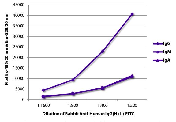 Abbildung: Kaninchen IgG anti-Human IgG (H+L)-FITC, MinX keine