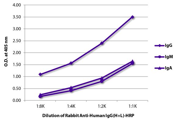Image: Rabbit IgG anti-Human IgG (H+L)-HRPO, MinX none
