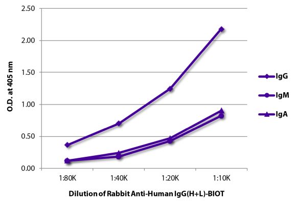 Image: Rabbit IgG anti-Human IgG (H+L)-Biotin, MinX none
