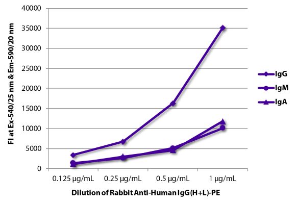 Abbildung: Kaninchen IgG anti-Human IgG (H+L)-RPE, MinX keine