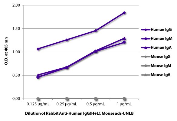Abbildung: Kaninchen IgG anti-Human IgG (H+L)-unkonj., MinX Ms