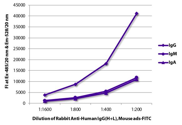Abbildung: Kaninchen IgG anti-Human IgG (H+L)-FITC, MinX Ms