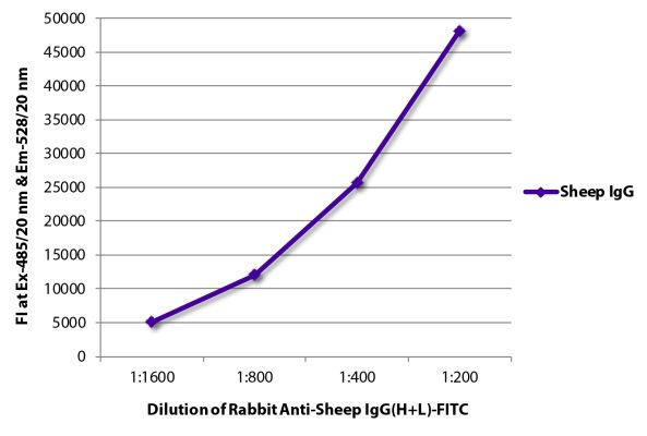 Abbildung: Kaninchen IgG anti-Schaf IgG (H+L)-FITC, MinX keine
