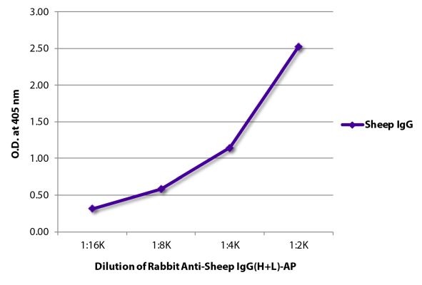 Abbildung: Kaninchen IgG anti-Schaf IgG (H+L)-Alk. Phos., MinX keine