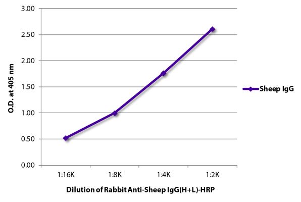 Image: Rabbit IgG anti-Sheep IgG (H+L)-HRPO, MinX none