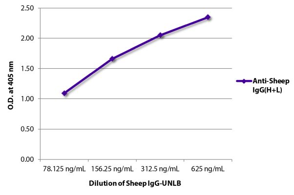 Abbildung: Kaninchen IgG anti-Schaf IgG (H+L)-Biotin, MinX keine