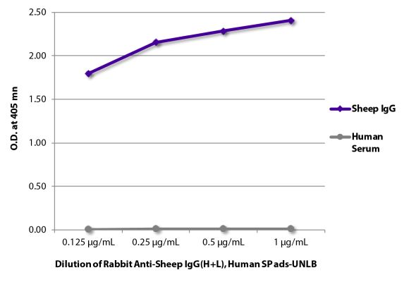 Abbildung: Kaninchen IgG anti-Schaf IgG (H+L)-unkonj., MinX Hu