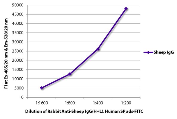 Abbildung: Kaninchen IgG anti-Schaf IgG (H+L)-FITC, MinX Hu
