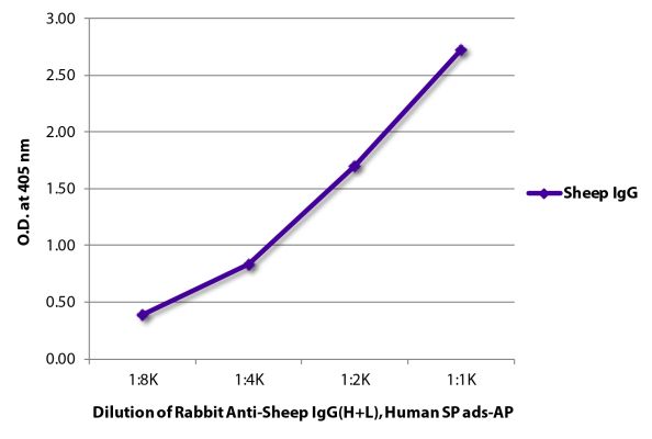 Abbildung: Kaninchen IgG anti-Schaf IgG (H+L)-Alk. Phos., MinX Hu