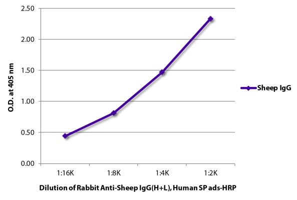 Abbildung: Kaninchen IgG anti-Schaf IgG (H+L)-HRPO, MinX Hu