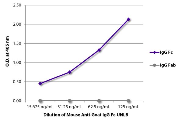 Abbildung: Maus IgG anti-Ziege IgG (Fc)-unkonj., MinX keine