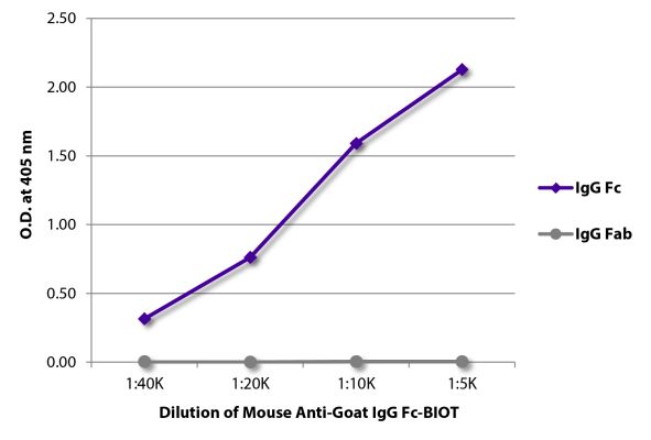 Abbildung: Maus IgG anti-Ziege IgG (Fc)-Biotin, MinX keine