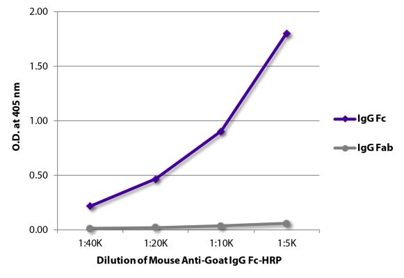 Abbildung: Maus IgG anti-Ziege IgG (Fc)-HRPO, MinX keine