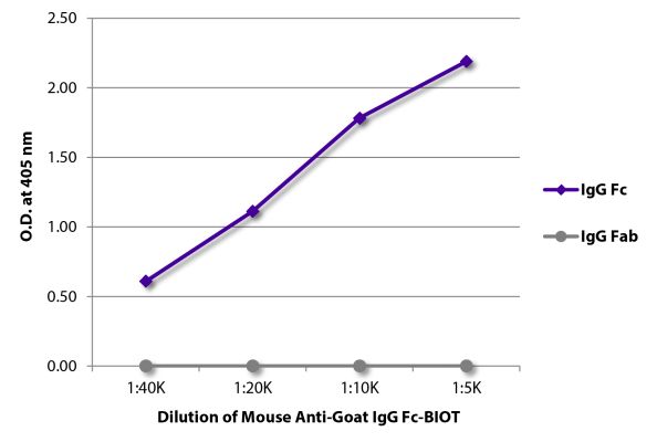 Image: Mouse IgG anti-Goat IgG (Fc)-Biotin, MinX none