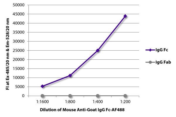 Abbildung: Maus IgG anti-Ziege IgG (Fc)-Alexa Fluor 488, MinX keine