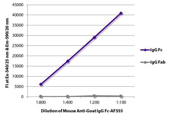 Abbildung: Maus IgG anti-Ziege IgG (Fc)-Alexa Fluor 555, MinX keine