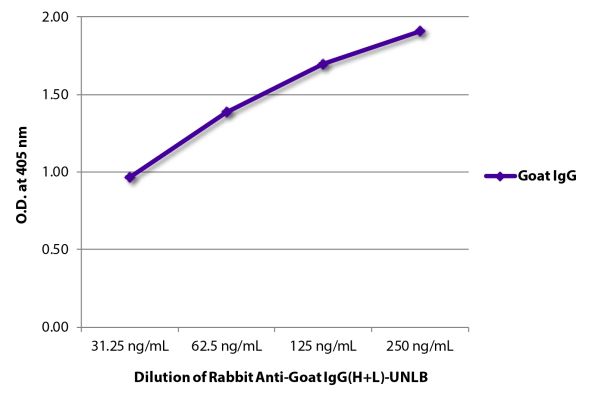Abbildung: Kaninchen IgG anti-Ziege IgG (H+L)-unkonj., MinX keine