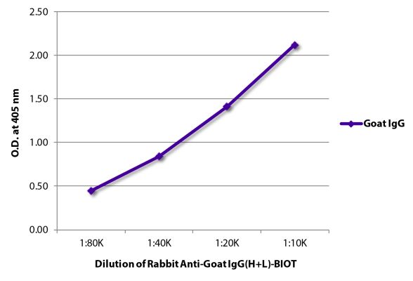 Abbildung: Kaninchen IgG anti-Ziege IgG (H+L)-Biotin, MinX keine