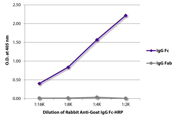 Abbildung: Kaninchen IgG anti-Ziege IgG (Fc)-HRPO, MinX keine