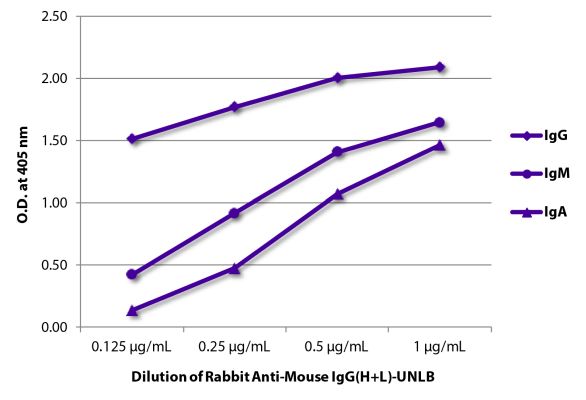 Abbildung: Kaninchen IgG anti-Maus IgG (H+L)-unkonj., MinX keine