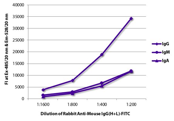 Image: Rabbit IgG anti-Mouse IgG (H+L)-FITC, MinX none