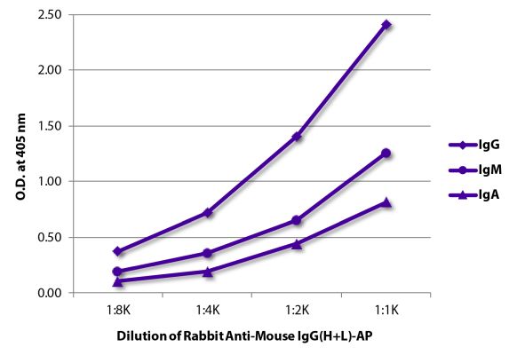 Image: Rabbit IgG anti-Mouse IgG (H+L)-Alk. Phos., MinX none