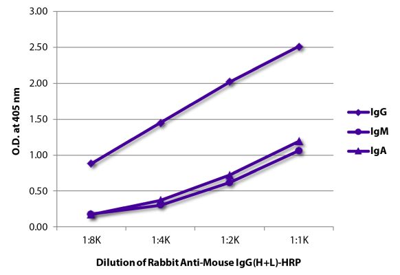 Abbildung: Kaninchen IgG anti-Maus IgG (H+L)-HRPO, MinX keine